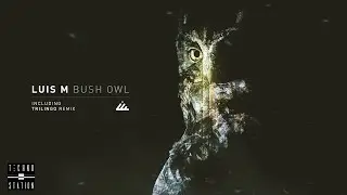 Luis M - Bush Owl (Trilingo Remix)