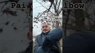 Wing Chun Kung Fu Elbow Strike Pai Jarn #wingchun #kungfu #selfdefense #youtubeshorts