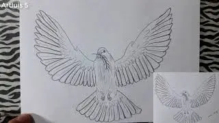 Como dibujar la Paloma de La Paz Paso a Paso | how to draw a dove?