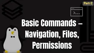 Linux Basics: Navigation, File Management & Permissions Explained