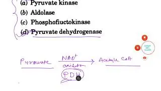 BIOLOGY GATE NPTEL IIT JAM PUROMYCIN SELECTED QUESTIONS YEAR SOLVE,COMPLETE SOLUTION