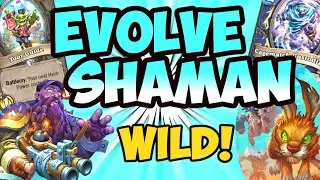 Evolve Shaman ! | Hearthstone | Darkmoon Faire