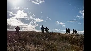 Field Trials