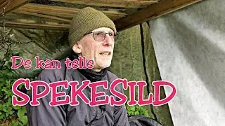De kan TELLE SPEKESILD - #matematikk for voksne som vil hjelpe barn