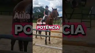 Como &eacute; a AULA de POT&Ecirc;NCIA #shorts #salto #hipismo