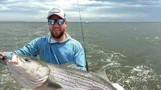 Fins For Freedom 28 Lb Striped Bass Tagging for Gray Fishtag Research 5-17-25