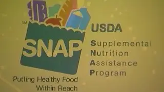 South Dallas residents face SNAP benefits theft