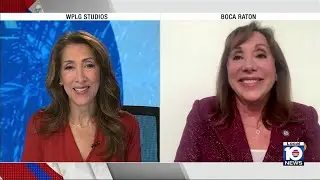 State Sen. Lori Berman discusses upcoming legislative session on TWISF