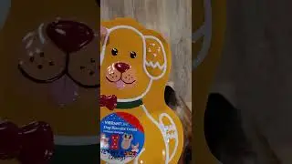 Собака (Элли) проводит дегустацию печенья.