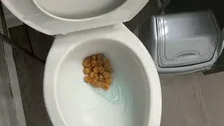 Will It Flush Popcorn Chicken 