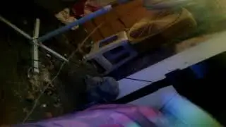 El loro autrez baila konga