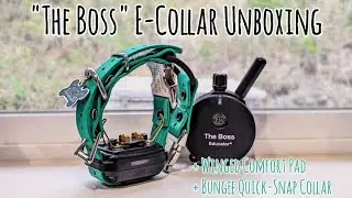 E-Collar Unboxing | 