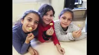CEIP ISLA DE TABARCA