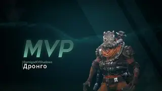 Drongo #1