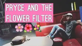 Pryce & The Flower Filter 🌺