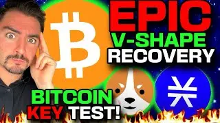 Bitcoin JUST DID THIS! (MILLIONAIRES LOADING!) $WELSH and $STX UPDATE