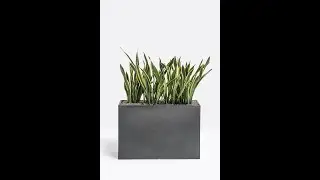 Kado plantekasse
