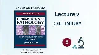 Pathoma Pathology Explained | Lecture 2 (Part 1) | Cell Injury