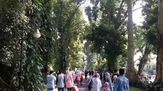 Ternyata seperti inilah 