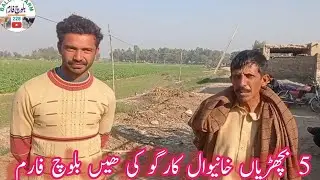 5 Hiefar cargo to khanewal||All Pakistan Cargo service Baloch farm