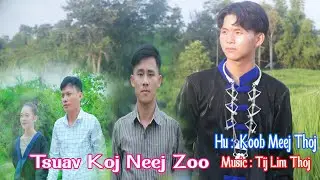 Tsuav Koj Neej Zoo , Hu : Koob Meej Thoj