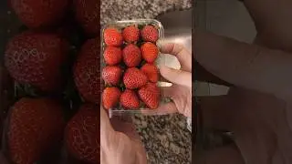 How to keep fresh strawberries mold-free