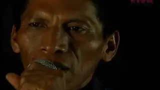 El canto de la serpiente¨, Proyecto Jirondai