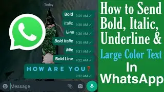 WhatsApp BOLD Text | How To Send WhatsApp messages in Bold Italic Texts & Large Colour Texts