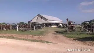 Mennonites in Belize | Old Colony Mennonites Singing