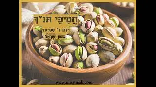 ‏‏כל השירותים המוצעים   עברית