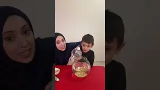 Dans eden mısırlar deneyi yapıyoruz🌽💃