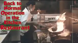 Back to Normal Operation in the Kitchen//tony chef