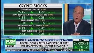 Blackrock CEO #Bitcoin rally “We’re hearing from clients around the world about the need for crypto”