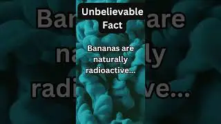 #intriguingfacts:Bananas are naturally radioactive&hellip;#subscribe #truefacts