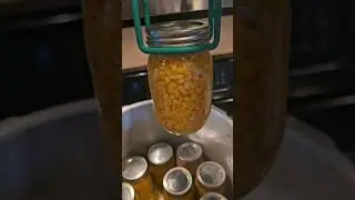 Let's Pressure Can Some Corn!!! Part 6 Step by Step  #pressurecanning #canning #homesteading #howto