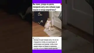 #смех #приколы #мем #юмор