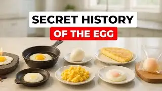 Почему мы едим яйца на завтрак? Невероятное путешествие яйца