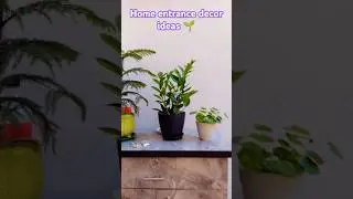 Home entrance decor 🌱🌸🌱#gardening #plants #indoorplants #entrancedecor #viralvideo #youtubeshorts