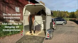 Transport av h&auml;st p&aring; v&auml;g