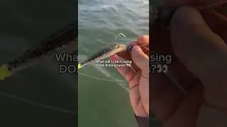 What will I catch using DOA lures?!👀 #fishing #shorts