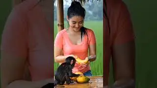 A beauty and little monkey during heavy rain #shortvideo #funny #rain