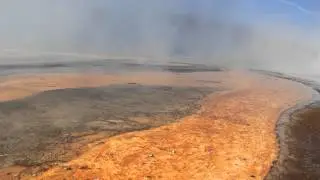 USA - Bacteria Mat in Yellowstone NP