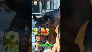 eVysor eQuick introduction