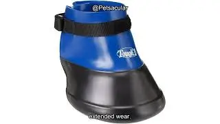 Tough 1 Hoof Saver Boot Review: Is It the Right Protection for Your Pet&rsquo;s Hooves?