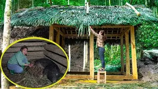 When Life and Dreams Collide: Woman Helps a Wild Boar Give Birth and Builds Her Dream Roof