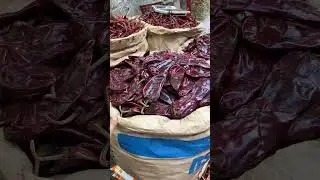 Kashmiri mirchi 🌶️ #shweta #viralvideo