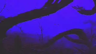 THE END | AGTHA