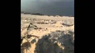 BP TAR BALLS ON PENSACOLA FLORIDA