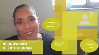 Wat is het RNR model?