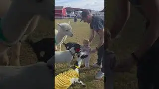 Kids of any age are always welcome at goat yoga! It&rsquo;s a fun activity for the goats and kids😁